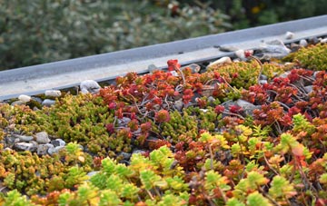 the cost of Treveighan green roof installation