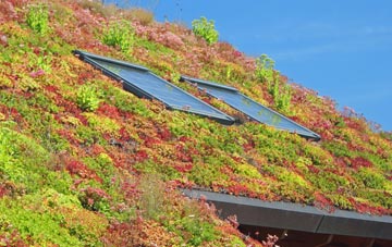 Treveighan living roof systems