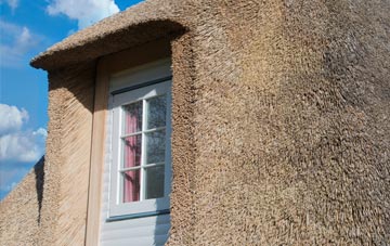 Treveighan thatch roof disadvantages